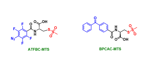 Photoaffinity reagents